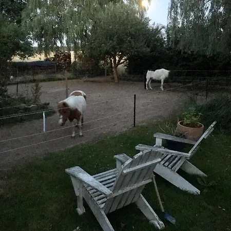 Alte Scheune * Egestorf