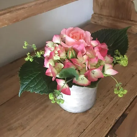 Alte Scheune Appartement *