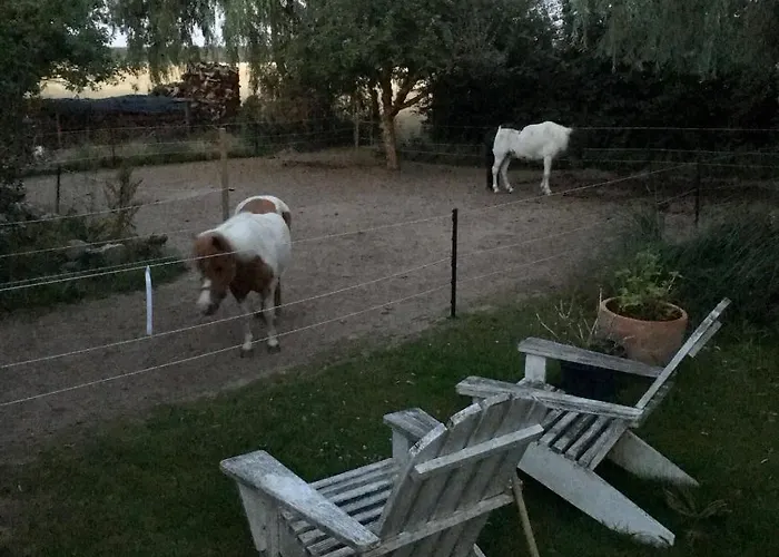 Alte Scheune * 埃格斯托夫