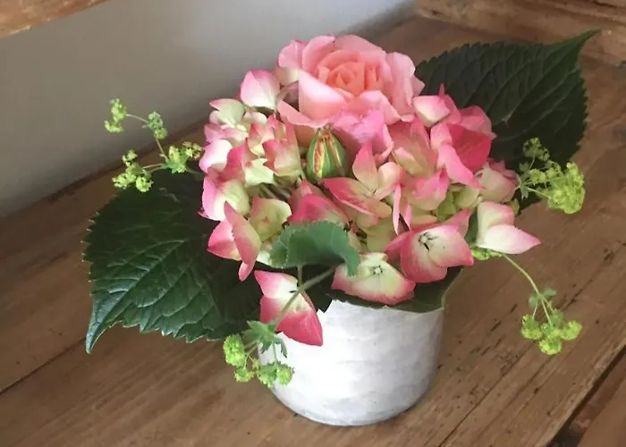 Alte Scheune 公寓 *